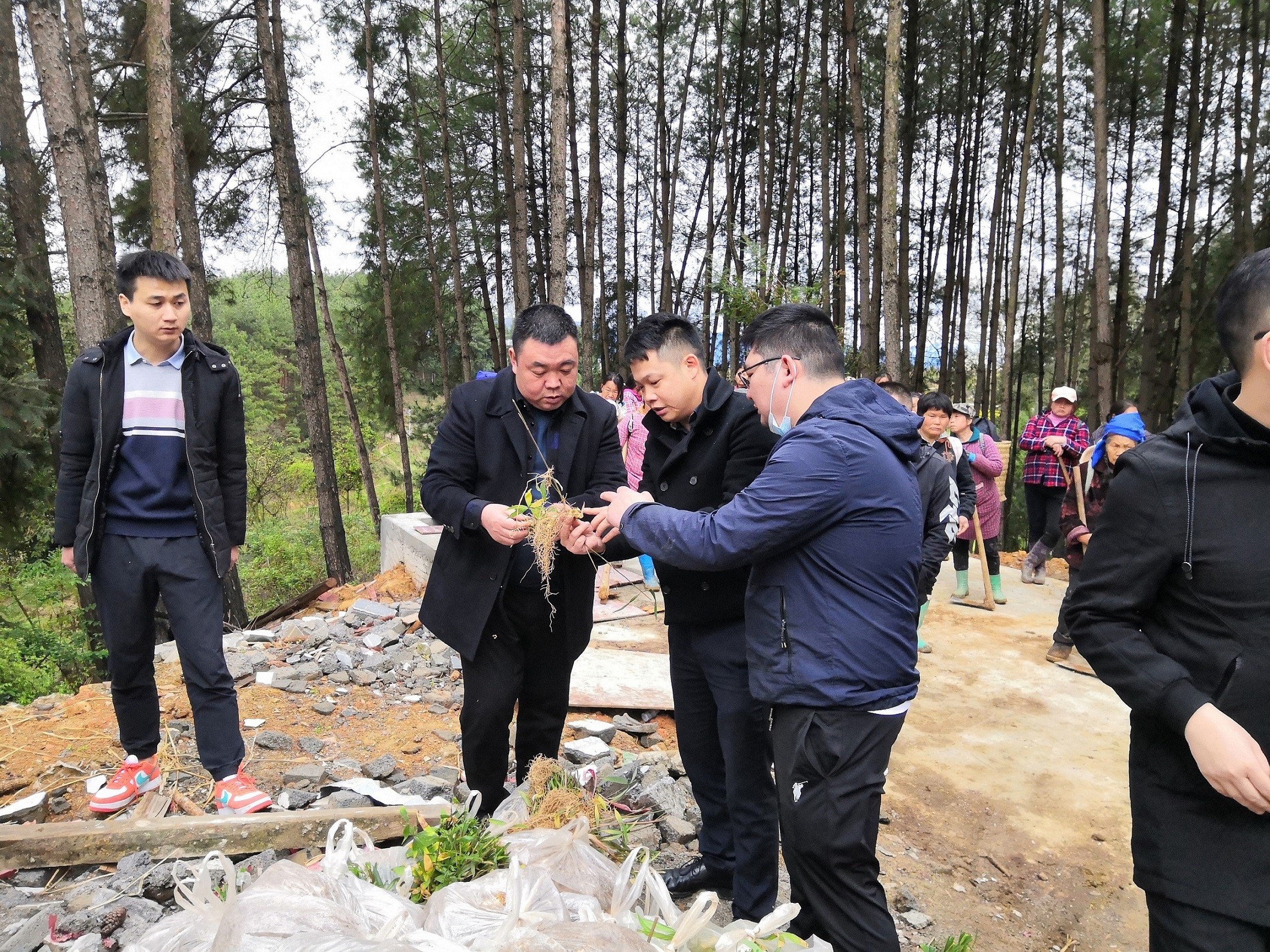 銅仁市城交集團(tuán)九龍地礦公司總經(jīng)理王剛一行前往石阡縣國家儲備林項(xiàng)目（五期）檢查工作